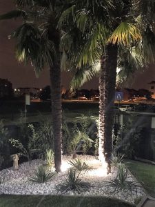 Faretti Led a picchetto illuminazione palme giardino