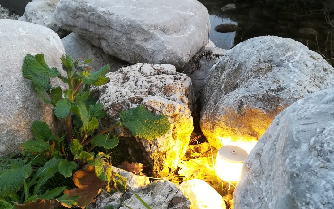 4 Irresistibili Idee con i Faretti da Giardino a LED