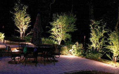 Guida all’Illuminazione Alberi e Piante